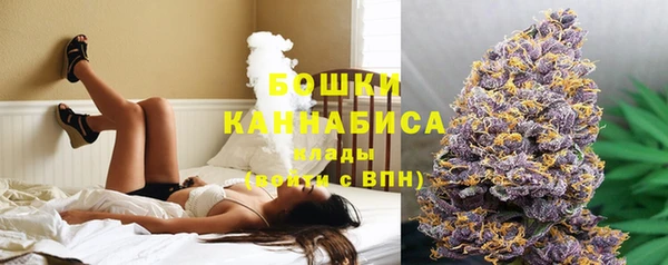 спайс Покачи
